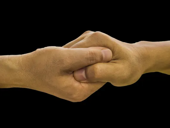 Casino Stake 7 Stuðningur